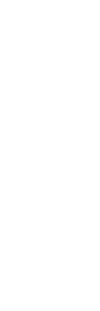 家族葬 蓮